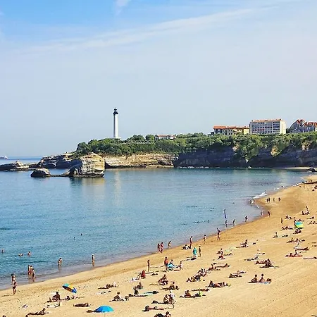 Confort, Halles Et à Pied Centre *